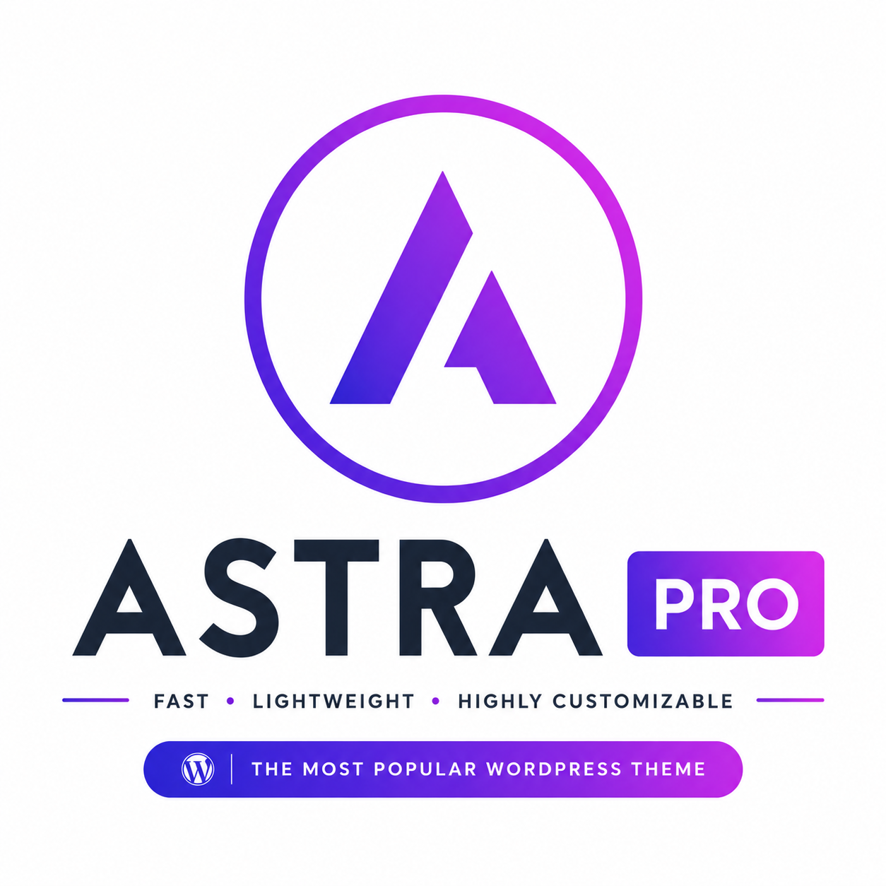 Astra Theme